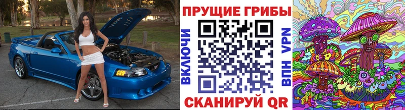 даркнет сайт  Нижняя Салда  Галлюциногенные грибы GOLDEN TEACHER 